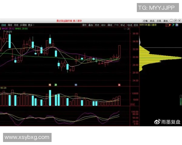 杭州足球队与重庆足球队赛后技术分析与战术探讨
